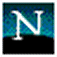 Netscape 6 Browser Logo